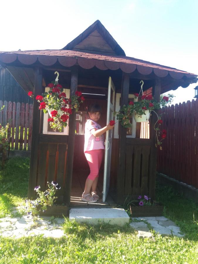 Pensiunea Alunis Hotell Sadova  Exteriör bild