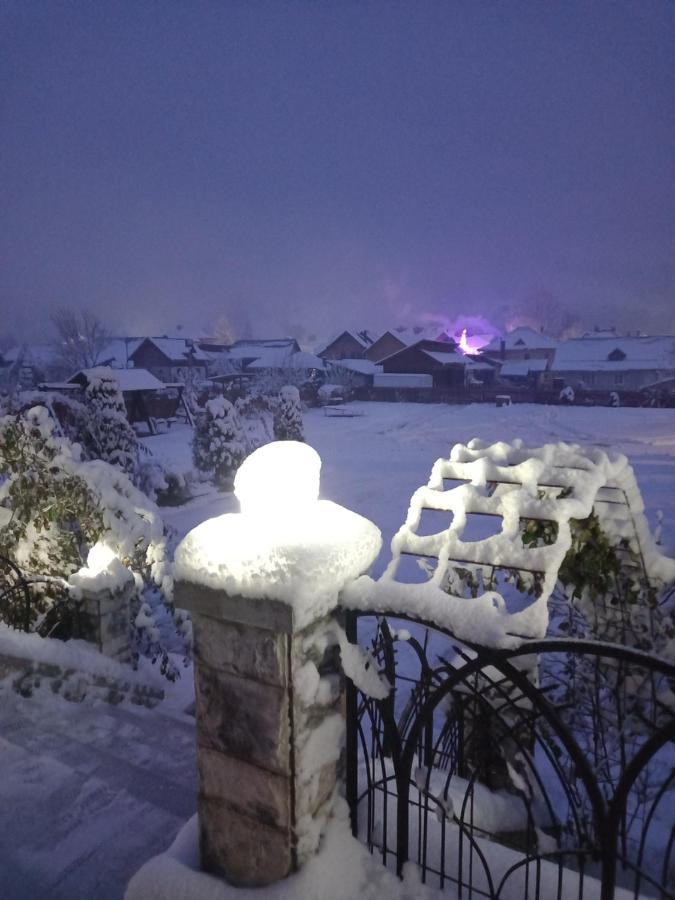 Pensiunea Alunis Hotell Sadova  Exteriör bild