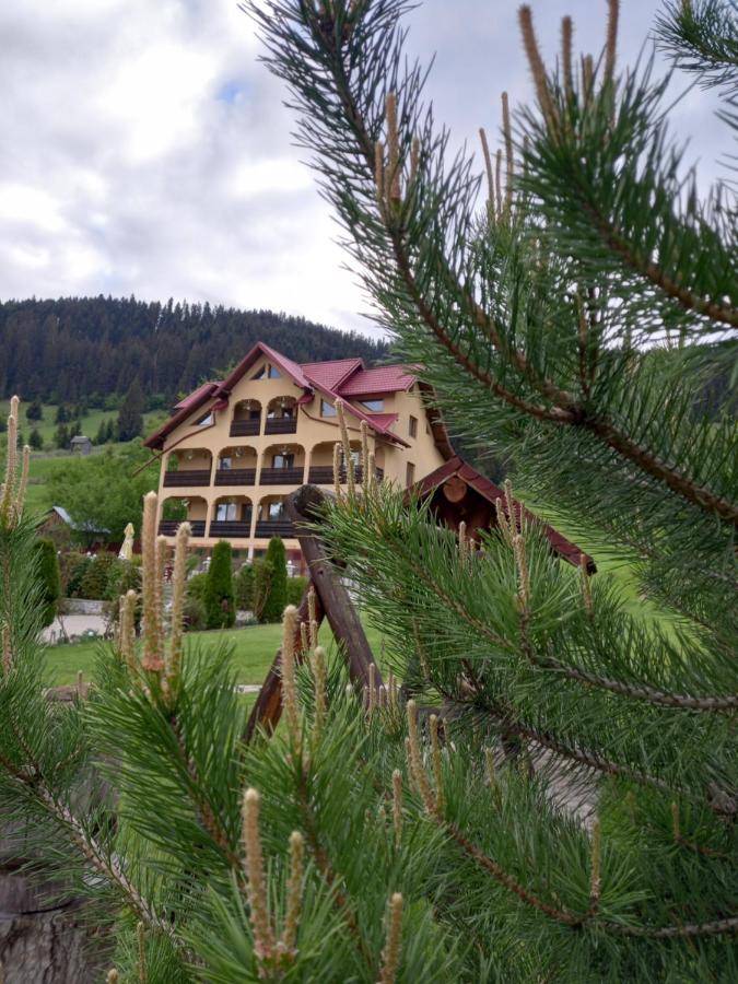 Pensiunea Alunis Hotell Sadova  Exteriör bild