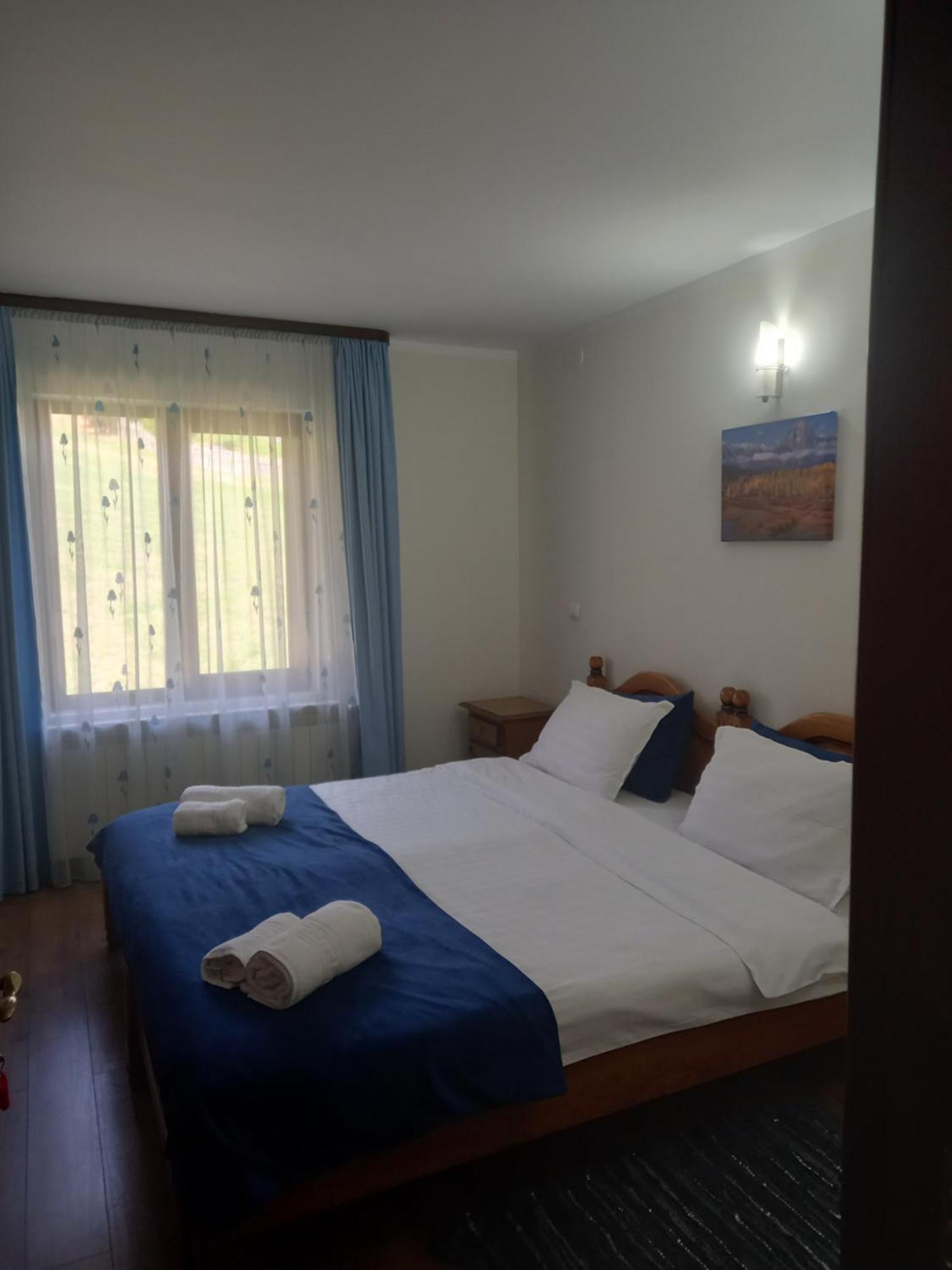 Pensiunea Alunis Hotell Sadova  Exteriör bild