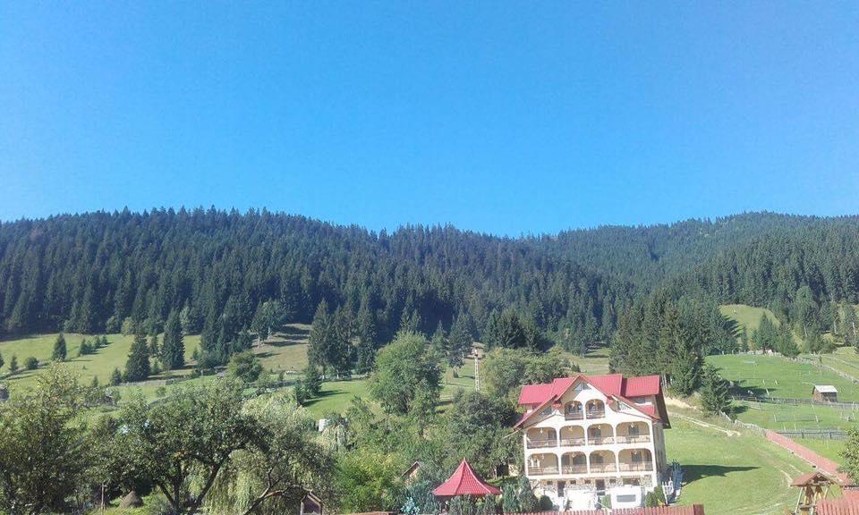 Pensiunea Alunis Hotell Sadova  Exteriör bild