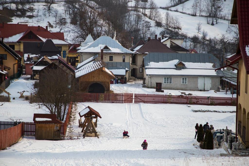 Pensiunea Alunis Hotell Sadova  Exteriör bild