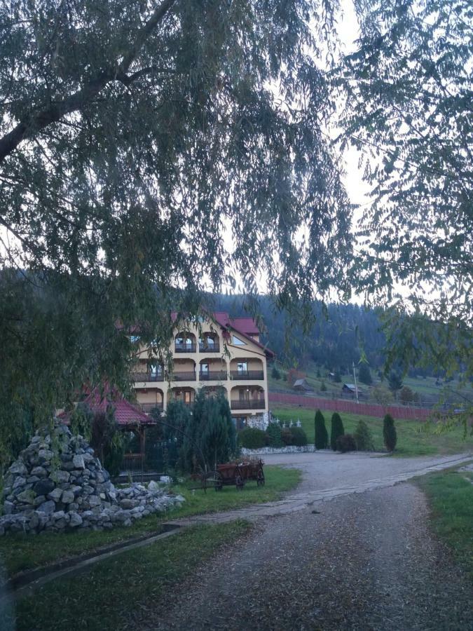 Pensiunea Alunis Hotell Sadova  Exteriör bild
